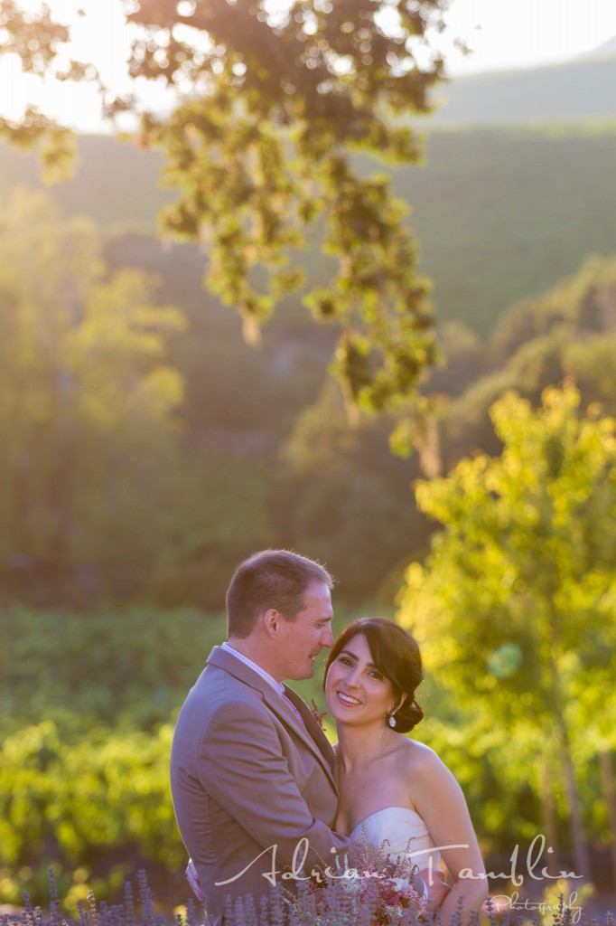 Napa Valley Weddings