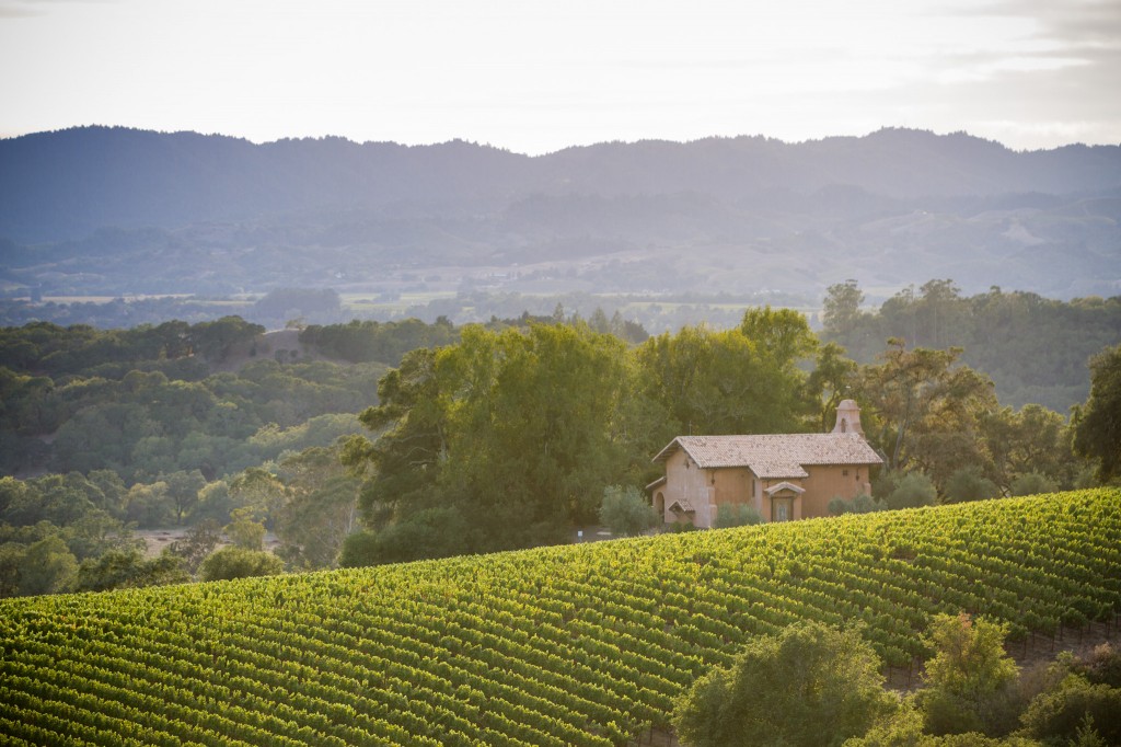 napa valley wedding backgrounds photographer