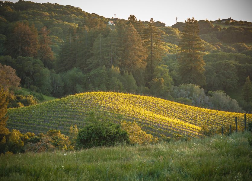 Landscapes by Adrian Tamblin Photography 4671