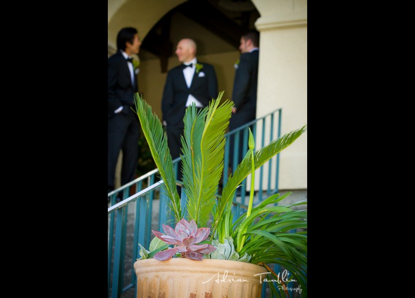 Gloria Ferrer Winery and Caves   Sarah and Justin   Adrian Tamblin Photography 5181