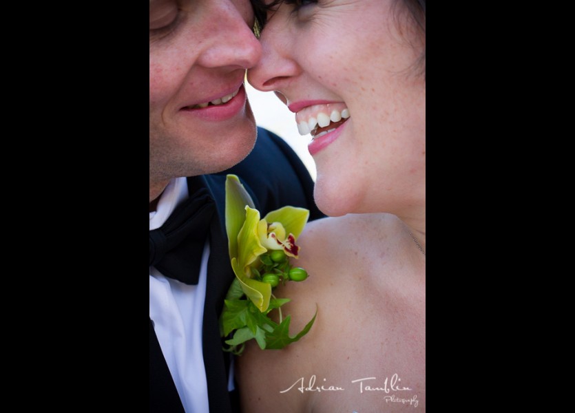 Gloria Ferrer Winery and Caves   Sarah and Justin   Adrian Tamblin Photography 5351