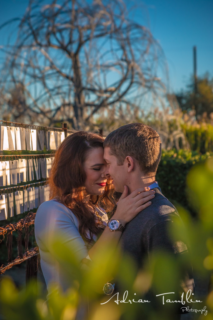 Gerianna - Stephen - Cornerstone Gardens Sonoma - Adrian Tamblin Photography-1750